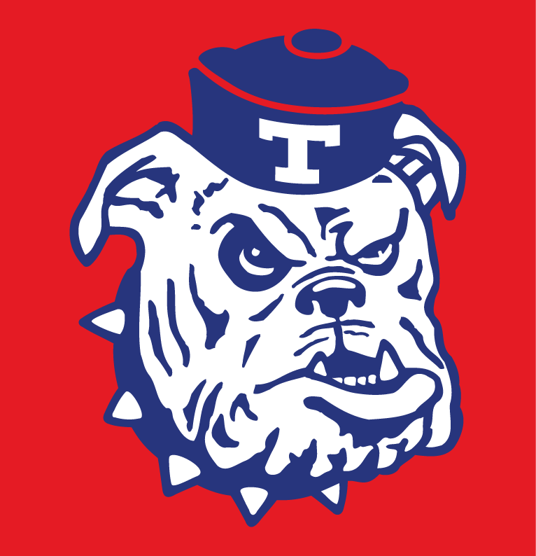 Louisiana Tech Bulldogs 1966-1978 Alternate Logo diy DTF decal sticker